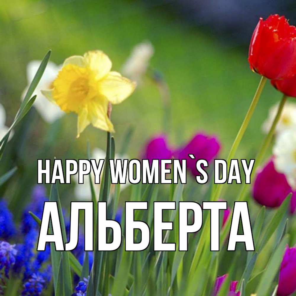 Greetings card с именем, Альберта happy women`s day международный женский день 3 Greetings with text for free download 